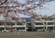 寄居町立用土小学校の画像