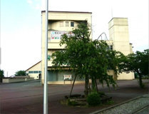 寄居町立寄居中学校