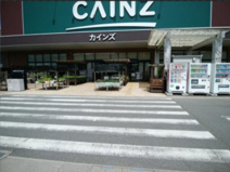 カインズ 寄居桜沢店