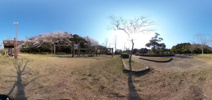 白銀公園