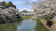 北の丸公園の画像