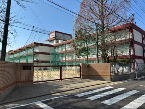 の画像