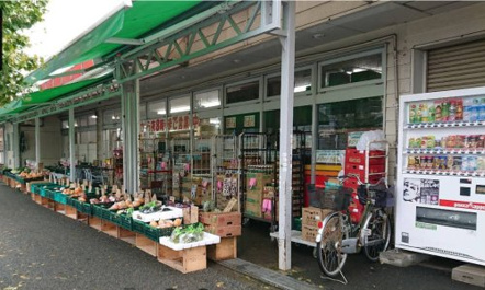 C&Cタジマヤ千葉東支店