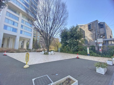 原宿一丁目公園の画像1