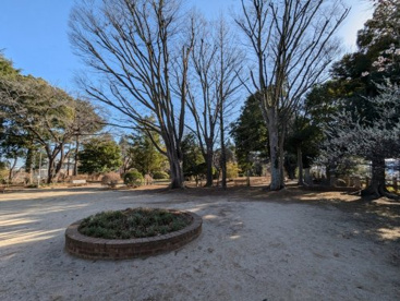 須和田公園の画像1