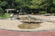 教育の森公園の画像