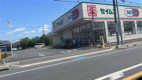ドラッグセイムス八潮緑町店の画像