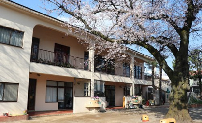 和泉町幼稚園の画像1