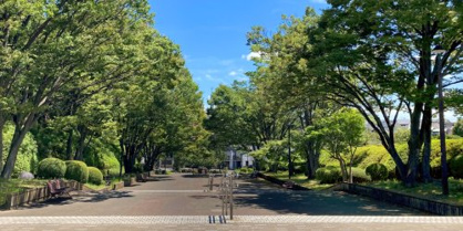 横山公園の画像1