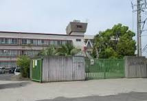 和泉中学校の画像1