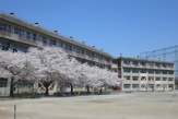 鶴ヶ島市立藤中学校
