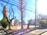 大幡公園