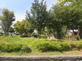 妻沼南団地公園1