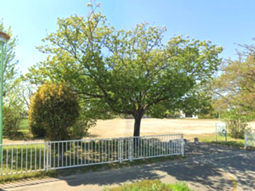 奈良中央公園の画像1