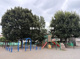 南林間中央公園の画像