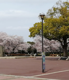 立沢公園の画像1