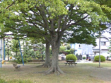 新宿第2公園