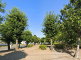 新田公園