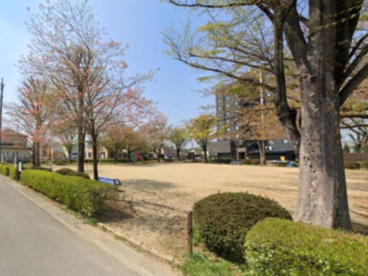 みなみ野中央公園の画像1
