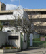 吹田市立東佐井寺小学校の画像
