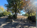浜田川公園