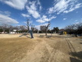 公園 昭和公園