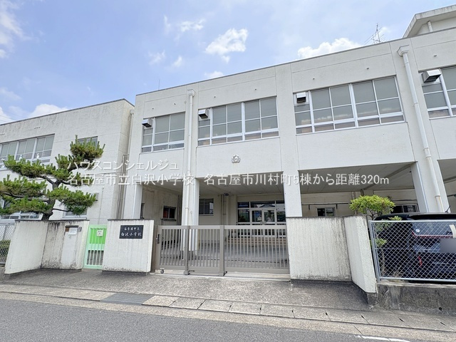 の画像