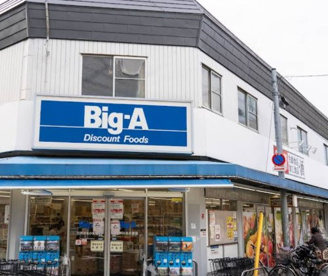 ビッグ・エー江戸川北小岩店の画像1
