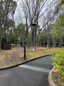 猿江恩賜公園の画像1