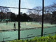 目黒区立宮前公園庭球場の画像