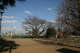 北朝霞公園野球場の画像
