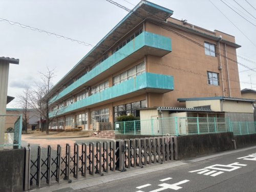 の画像