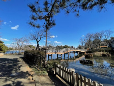 洗足池公園の画像2