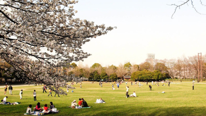 城北中央公園 ドッグランの画像1