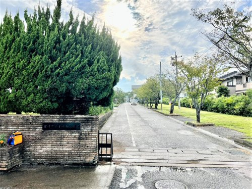 宮崎市立宮崎南小学校の画像