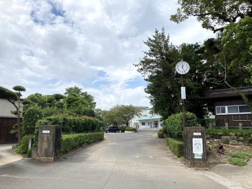 の画像