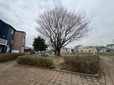 みどり公園の画像2