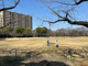 山崎公園の画像