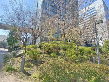 大崎川の辺緑地の画像1