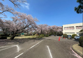 印旛中央公園
