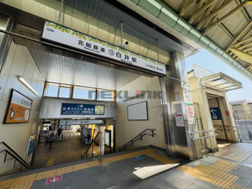 白井の画像1