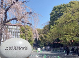 上野恩賜公園