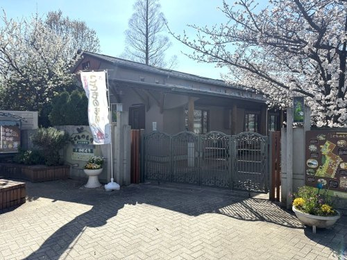 松伏幼稚園/子供の森の画像