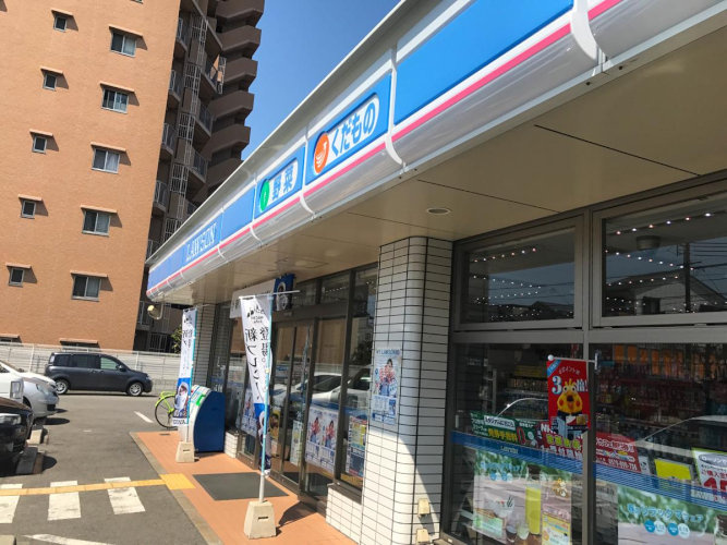 の画像