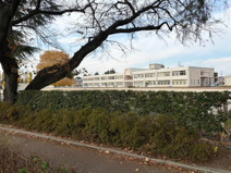 伊勢崎市立南小学校