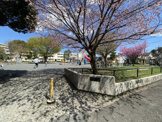 瀬谷第二公園
