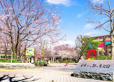 豊島区立染井よしの桜の里公園