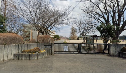 の画像