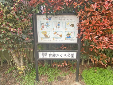 荏原さくら公園の画像1