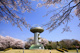 十王パノラマ公園の画像